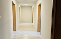 Casă cu 10 camere, ideala pentru locuință sau sediu firmă – Lunei