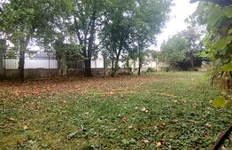 Casa de vanzare, 270 mp, zona Braytim