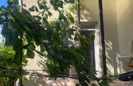 Casa de vanzare, 270 mp, zona Braytim