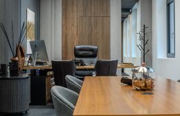 Spațiu Birouri Piața Victoriei