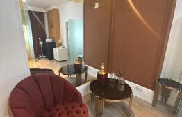 Casa 8 camere, 280 mp utili, zona Girocului