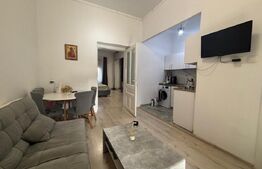 Apartament de vanzare, 49,1 mp, zona Take Ionescu