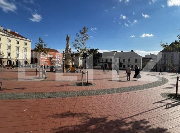 Apartament de închiriat 2 camere Ultracentral - 179453AI | BLITZ Timișoara | Poza1