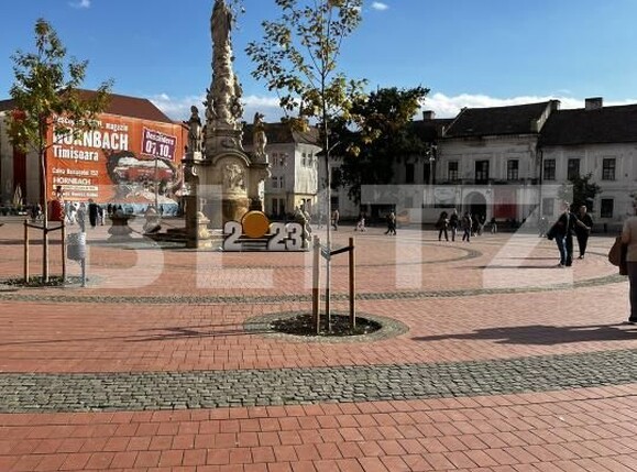 Apartament de închiriat 2 camere Ultracentral - 179454AI | BLITZ Timișoara | Poza1