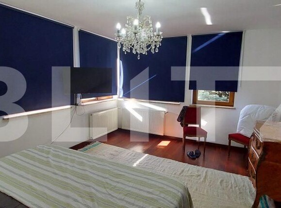 Casa de închiriat 10 camere Dumbravita - 179456CI | BLITZ Timișoara | Poza4