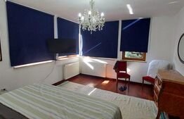 Vilă modernă 440 mp, piscină, 9 camere, tip Pensiune - Dumbrăvița