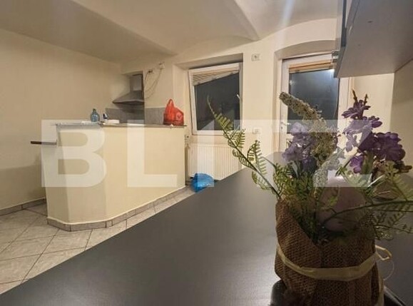 Garsonieră de vânzare Balcescu - 179548AV | BLITZ Timișoara | Poza1