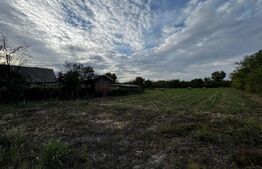 Casa 4 camere cu teren de 3892 mp