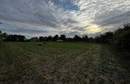 Casa 4 camere cu teren de 3892 mp