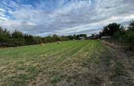 Casa 4 camere cu teren de 3892 mp