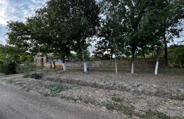 Casa 4 camere cu teren de 3892 mp