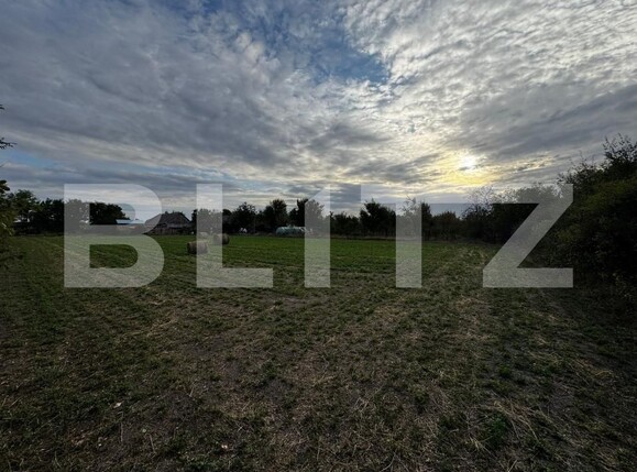 Casa de vânzare 4 camere Cebza - 179678CV | BLITZ Timișoara | Poza13