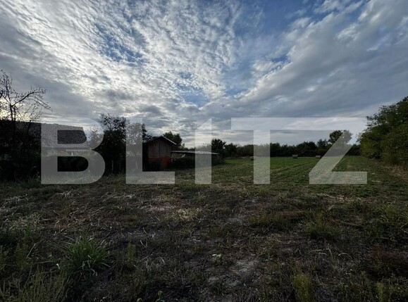 Casa de vânzare 4 camere Cebza - 179678CV | BLITZ Timișoara | Poza15