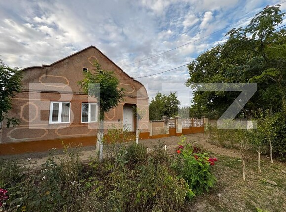 Casa de vânzare 4 camere Cebza - 179678CV | BLITZ Timișoara | Poza2