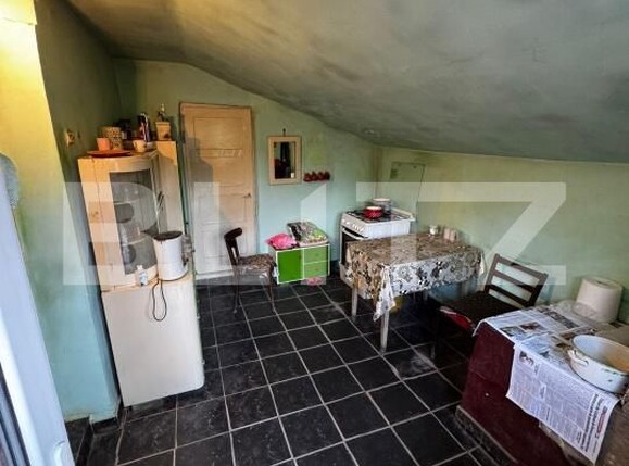 Casa de vânzare 4 camere Cebza - 179678CV | BLITZ Timișoara | Poza11