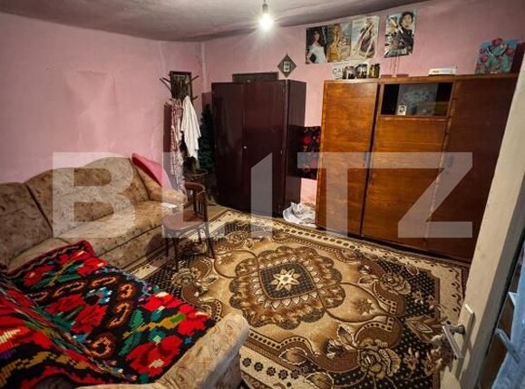 Casa de vânzare 4 camere Cebza - 179678CV | BLITZ Timișoara | Poza9