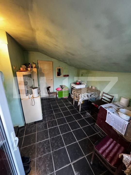 Casa de vânzare 4 camere Cebza - 179678CV | BLITZ Timișoara | Poza11