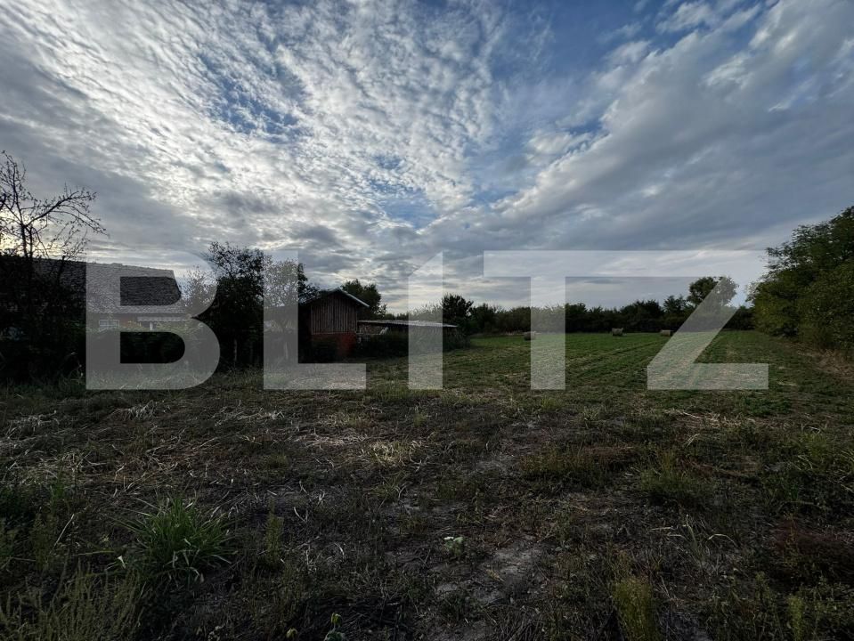 Casa de vânzare 4 camere Cebza - 179678CV | BLITZ Timișoara | Poza15