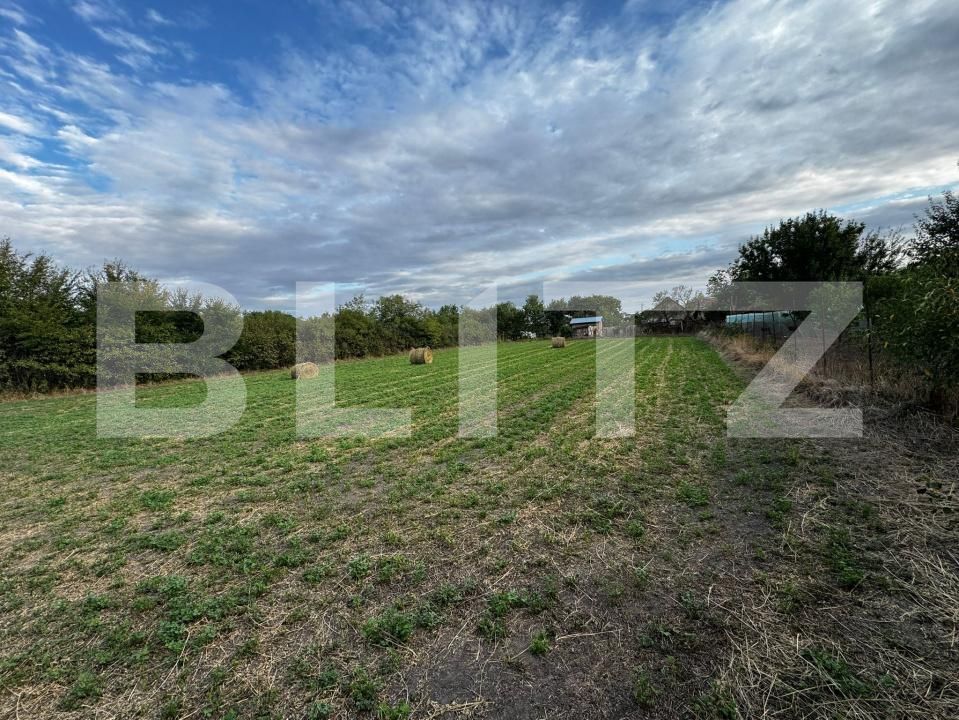 Casa de vânzare 4 camere Cebza - 179678CV | BLITZ Timișoara | Poza14