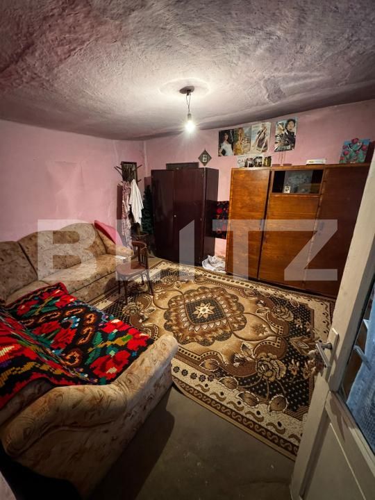 Casa de vânzare 4 camere Cebza - 179678CV | BLITZ Timișoara | Poza9