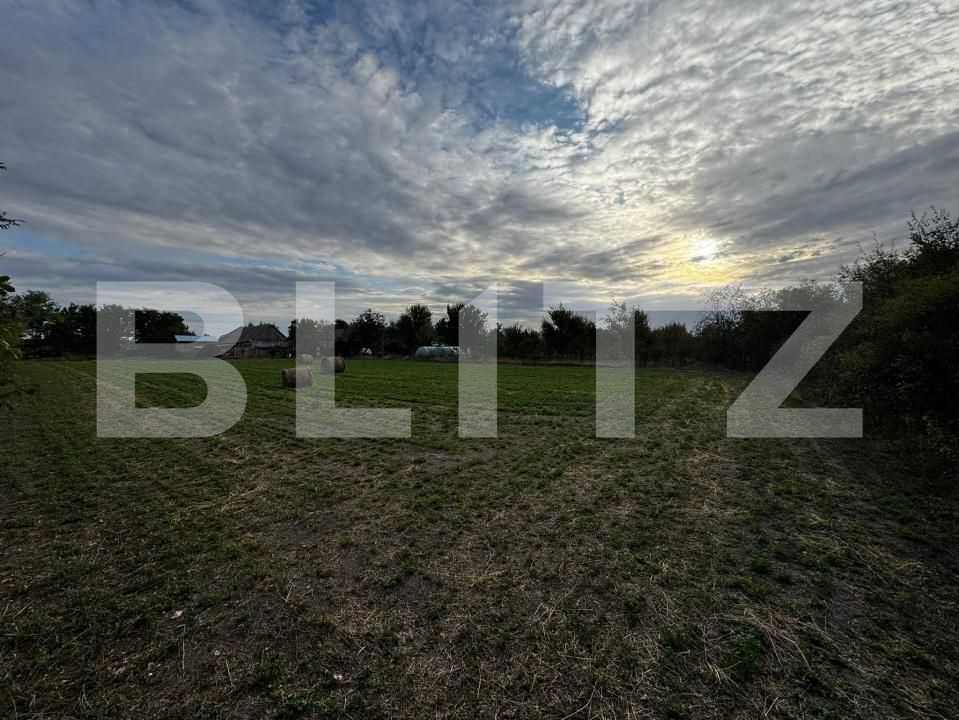 Casa de vânzare 4 camere Cebza - 179678CV | BLITZ Timișoara | Poza13