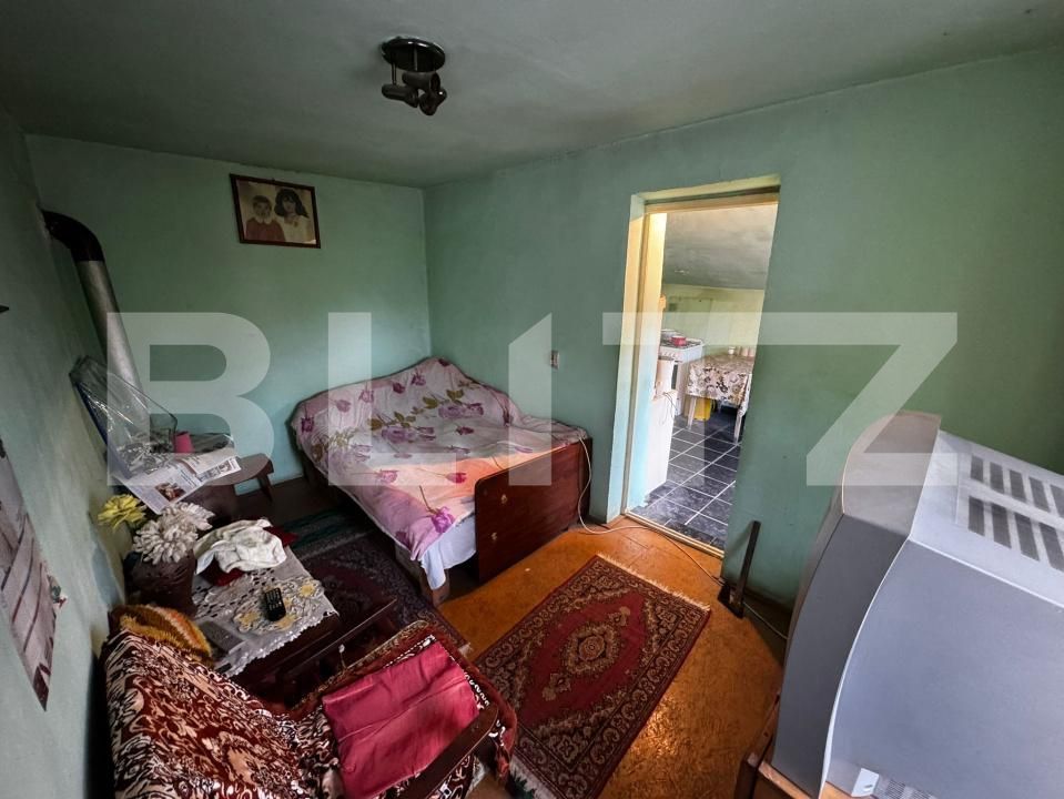 Casa de vânzare 4 camere Cebza - 179678CV | BLITZ Timișoara | Poza12