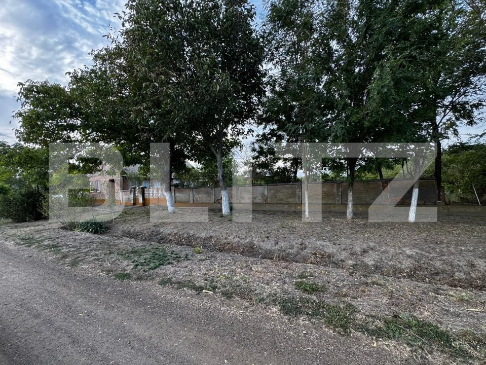 Casa de vânzare 4 camere Cebza - 179678CV | BLITZ Timișoara | Poza3