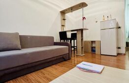 Apartament 1 camera, 30 mp, zona Ultracentral