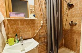 Apartament 1 camera, 30 mp, zona Ultracentral