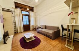 Apartament 1 camera, 30 mp, zona Ultracentral