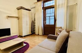 Apartament 1 camera, 30 mp, zona Ultracentral