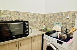 Apartament 1 camera, 30 mp, zona Ultracentral