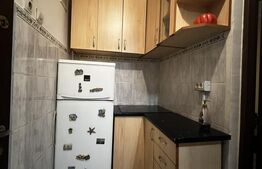 Garsoniera, 22 mp, zona Blascovici