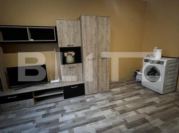 Garsonieră de vânzare Blascovici - 179739AV | BLITZ Timișoara | Poza3