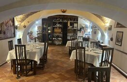 Spațiu comercial 350 mp Ultracentral