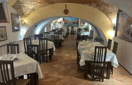 Spațiu comercial 350 mp Ultracentral