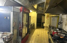 Spațiu comercial 350 mp Ultracentral