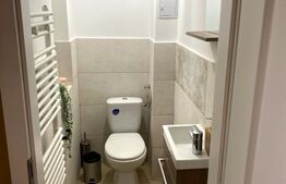 Clădire istorică consolidată, locuință sau business, ultracentral