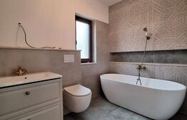 Casă individuală modernă Moșnița Nouă