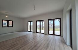 Casă individuală modernă Moșnița Nouă