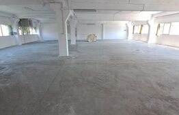 Birouri + Hală, 461 mp, zona Iosefin