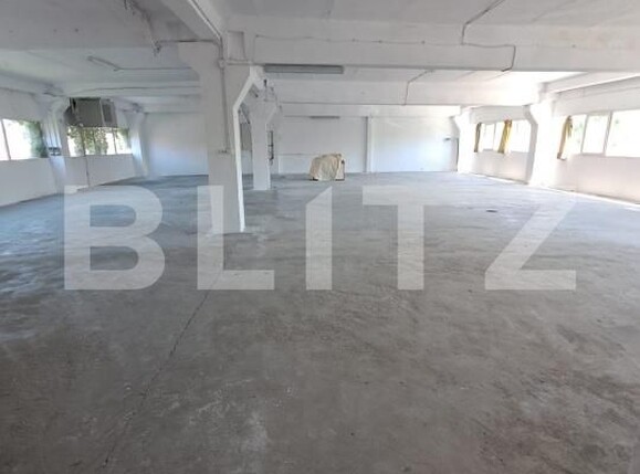 Spațiu industrial de închiriat Iosefin - 179978SII | BLITZ Timișoara | Poza2