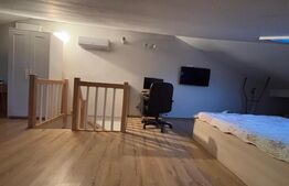 Duplex Mosnita Noua