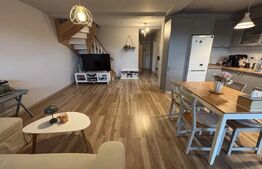 Duplex Mosnita Noua