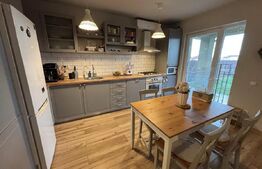 Duplex Mosnita Noua