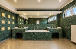 Proprietatea care poate deveni următorul tău succes, Timisoara