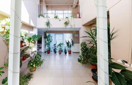 Casa 7 camere, 470mp utili, zona Girocului