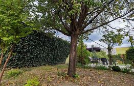 Casa 7 camere, 470mp utili, zona Girocului