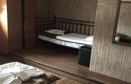 Pensiune de inchiriat, 450 mp, zona Lugojului