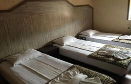 Pensiune de inchiriat, 450 mp, zona Lugojului